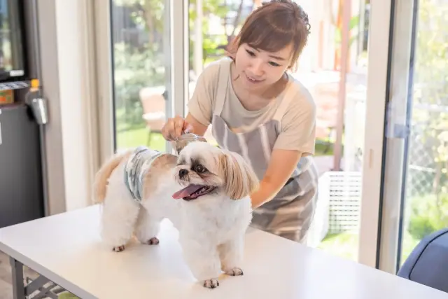 【実例紹介】トリミングサロンが生成AIでInstagram発信を毎日継続できた理由（2025年9月24日）